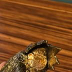 Set Messing Kraanvogels Kraanvogel Vogel Vogels thumbnail 8