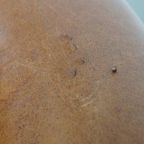 Karaktervolle Vintage Schapenleren Clubfauteuil Met Siernagels En Zwarte Biezen thumbnail 14