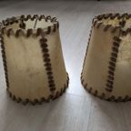 Lampenkapjes Van Varkensblaas thumbnail 3
