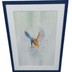 Aquarel "Ijsvogel" Christine Desender. thumbnail 4