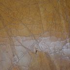 Leren Fauteuil Zware Kwaliteit Schapenleer thumbnail 6