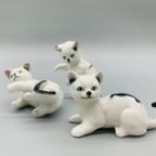 Decoratie Set Katjes Bone China 3 Stuks thumbnail 4