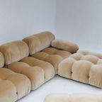 Camaleonda Sofa In Velvet By Mario Bellini For B&B Italia, Set Of 5 thumbnail 19