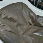 Very Rare Inside/outside Polyester Lounge Chair With Leather Upholstery 1960s thumbnail 6