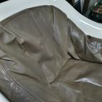 Very Rare Inside/Outside Polyester Lounge Chair With Leather Upholstery 1960S thumbnail 6