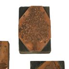 Antieke Printer Plaat Gravure Drukblok Bloemen Koper Hout Set Van 5 thumbnail 9