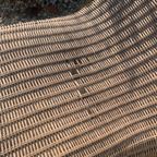Karl Malmvall Rotan Lounge-chair Karlskrona Ikea thumbnail 2