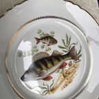 6 Vissen Borden 23 Cm thumbnail 7