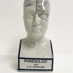 Keramieken 30 Cm Hoge Phrenology Hoofd, 1990’s thumbnail 7