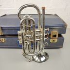 Cornet 'Bermont' thumbnail 3