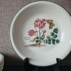 Florabunda Wedgwood Diepe Borden thumbnail 3