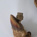Vintage Hertenpoot Lampen Frans Taxidermy. thumbnail 6