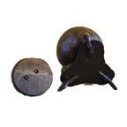 India/Sri Lanka Kokosnoot Tabakspot, Circa 1900 thumbnail 7