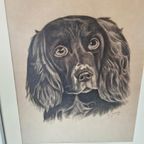 Potlood Tekening In Lijst Jaren 50 Schilderij Gesigneerd thumbnail 5