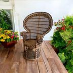Vintage Peacock Chair / Pauwenstoel Emmanuelle thumbnail 2