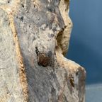 Groot Formaat Uit Houten Stam Gesneden Hoofd Of Gezicht thumbnail 6