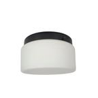 Raak Amsterdam - Opaalglas - Model P.1454.0003 - Plafonniere thumbnail 5