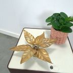 Floral Willy Daro Wandlamp Massive België thumbnail 4