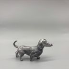 Miniatuur Teckel Zilverkleurig 5 thumbnail 5