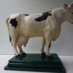 Oude Gipsen Model Van Koe Uit Slagerij, Beenhouwerij thumbnail 11