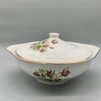Grote Terrine Fontebasso Treviso Roos thumbnail 2