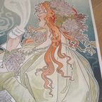Privat- Livemont Cacao Van Houten, Lenmeiller Chocolat Liquide thumbnail 3