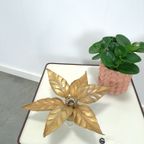Floral Willy Daro Wandlamp Massive België thumbnail 2