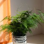 Conic Planter Black/white thumbnail 8