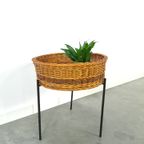 Rotan Plantenrek Met Stalen Voet, Vintage thumbnail 6