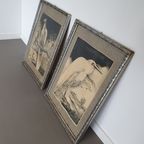Litho Lithografie/ Lithography / Steendruk Birds / Vogels thumbnail 2