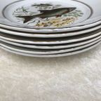 6 Vissen Borden 23 Cm thumbnail 3