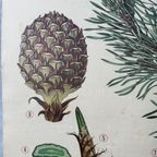 Vintage Linnen Schoolkaart ‘de Grove Den’ thumbnail 7