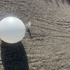 Raak B1219 Lamp. School Lamp. Trapgat Lamp. Xl Melkglas thumbnail 12