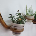 Plantenslang Rotan/bamboe. Plantenhouder Rohé/trio Noordwolde thumbnail 6