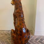 Sisi 🐆 Cheetah Beeld thumbnail 7