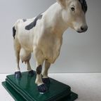 Oude Gipsen Model Van Koe Uit Slagerij, Beenhouwerij thumbnail 15