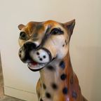 Sisi 🐆 Cheetah Beeld thumbnail 5