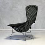 Bird Chair Harry Bertoia Fauteuil Knoll Vintage Design Stoel thumbnail 7