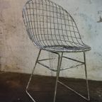 Originele Vintage Draadstoel Cees Braakman, Pastoe 1957 thumbnail 3