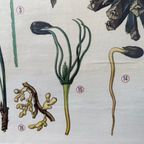 Vintage Linnen Schoolkaart ‘de Grove Den’ thumbnail 9