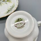 Royal Albert Flower Of The Month January Kop En Schotel thumbnail 5