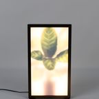 Zuiver Grow Vloerlamp M thumbnail 6