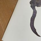 Sonja Dwinger (1925-2012), Yindee (een Kat) thumbnail 8