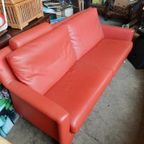 Leolux Paian Design Bank 2,5 Zits Rood Leder thumbnail 5