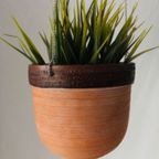 Terracotta Hangende Plantenpot thumbnail 3
