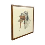 Maurice Brailly Jachthond Fazant Vintage Grafiek In Kleur 1972 thumbnail 8