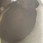 G. O’keeffe (1887-1986), Dark Iris I, 1927, thumbnail 10