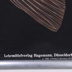 Jung Koch Quentell ‘Karpfen’ Karper Dus 60034 thumbnail 4