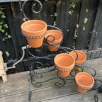 Smeedijzeren Planten Standaard thumbnail 2