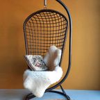 Rotan Egg Chair Met Metalen Voet, Hang Stoel, Vintage thumbnail 2